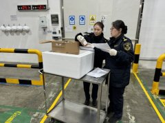 <strong>客岁上海外高桥保税区进出口总值再破万</strong>