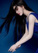 李毅动态第500期有声诗词网V8