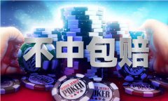 天中每日必出两码